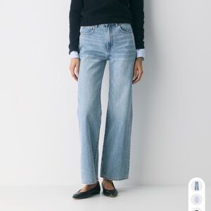 Aritzia Denim Forum the Farrah Hi-Rise Wide Jean, Size 25